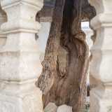 ...al cui centro svetta l�antico pozzo che racchiude al suo interno un secolare e �miracoloso� tronco d�albero
